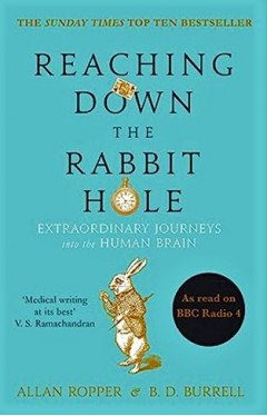 Reaching Down the Rabbit Hole - Extraordinary Journeys Into the Human Brain